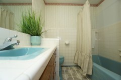 DSC07279