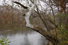 DSC05808