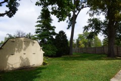 P1000599