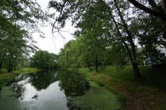 DSC05496