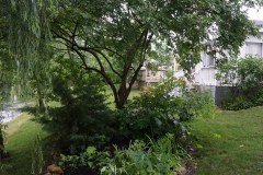 DSC05499