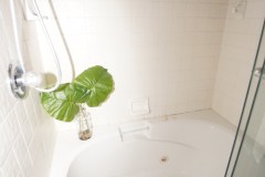 DSC05548