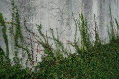 DSC05647
