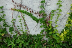 P1000245