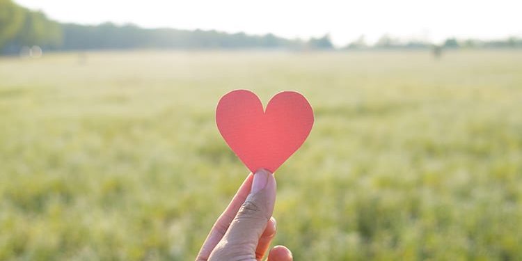 Finger keep red heart with grass field background.